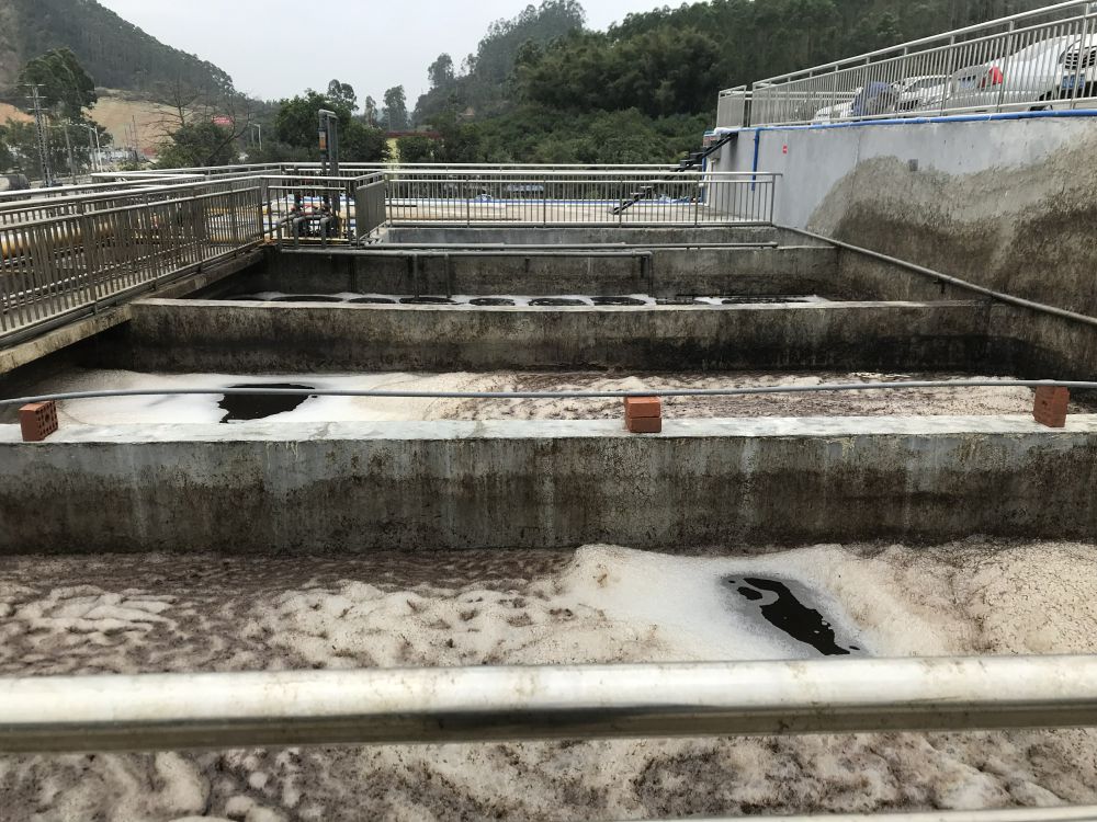 某某屠(tu)宰(zai)場(chang)項目——500t屠(tu)宰廢(fei)水處理係(xi)統