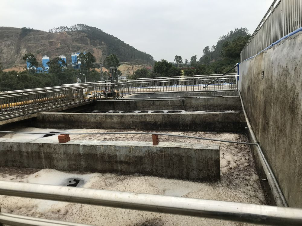 某某(mou)屠(tu)宰場項目——500t屠宰(zai)廢(fei)水處理(li)係統