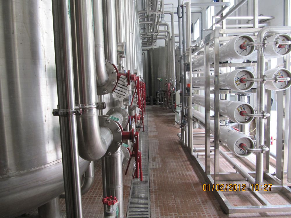 飲料廠20m3ph純(chun)水係(xi)統(tong)